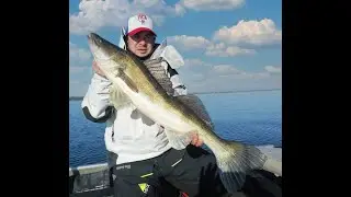 sharpshooting zander strike #Shorts