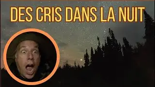 Des cris dans la nuit