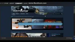 CS GO: Workshop Skin Voting #1
