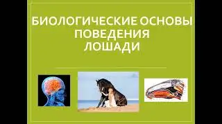 Биологические основы поведения лошади - Часть 1