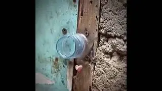 #meme #мем #tiktok #memes #гений #дуэт #комментарии #duet #мемы