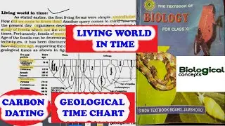 What is living world in time?| how to calculate fossil age |FSc biology| Sindh text board