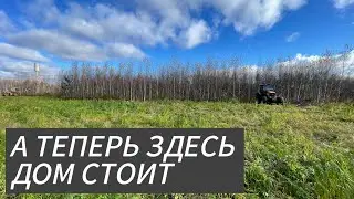 A story that stretches from the undergrowth to the completed construction site.