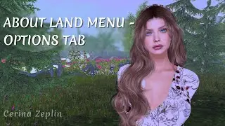 About Land Menu - Options Tab - Second Life Land Management