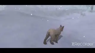 Shelter2 в Вайлдкрафт! 1 часть🐈