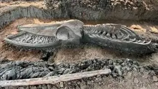 12 Most Incredible Recent Archaeological Finds Scientists Still Can't Explain