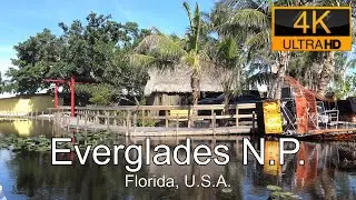 Everglades National Park., Florida