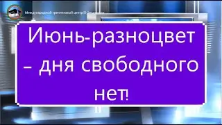 El-TV El-Эльдорадо Новости Июнь разноцвет – дня свободного нет! 05.06.2023