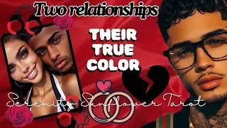 ARIES ♈️✨SHADOW WORK NEED TO BE DONE; AFTER FINDING OUT THIS PERSON TRUE COLORS /2nd RELATIONSHIP