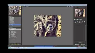 Maximize Your Topaz Workflow Efficiency Using Actions!, presented by Blake Rudis