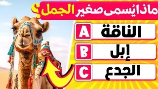 الغاز ثقافية مسلية😳 هل يمكنك معرفة أسماء صغار اشهر الحيونات⁉️😱الغاز للاذكياء..!