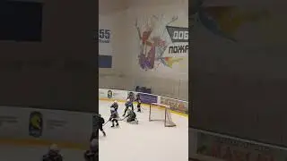 Я на воротах игра со  стерхами