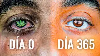 365 Días Sin Marihuana: ¡El Mejor Año de Mi Vida!