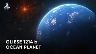 The Mysterious World of Gliese 1214 b. What Do We Know about Ocean Planets?