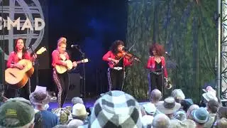 Flor De Toloache   Womad 2020