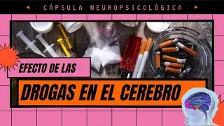 Cápsula Neuropsicológica   Efecto de las Drogas en el Cerebro / Explicación Básica