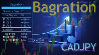 Сканирующий индикатор Bagration