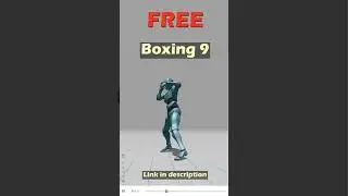 Boxing 9. Free Mixamo animation for Daz Studio's Genesis 9. 