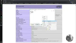 laragon self documentation setting adminer, php version, phpmyadmin, php 8 with langugue indonesia .