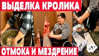 Отмачивание и мездрение шкуры  Выделка кролика. Часть 2