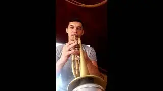 What if The Real Slim Shady (trumpet solo version 