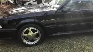 Fox body with 17x8 and 17x9 pony r rims