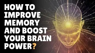 How to Improve Your Memory Power?