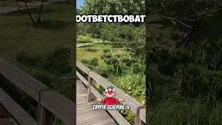 Сила в знании  - трейдинг #трейдинг #crypto #психология