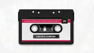 Crickets Chirping (Awkward Silence) - Sound Effect HD