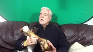 Update On Buddy The Dog's Dino Bone