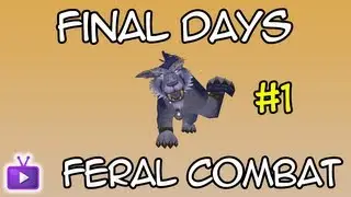 ★ WoW PvP - Final Days of Feral Combat #1, ft. Hengest