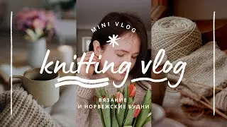 vlog 15/24 | мое вязанние за неделю 🧶 много жаккрада и немного северной Норвегии ✨️ готовая работа