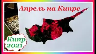 КИПР 2021. ЧТО ЦВЕТЕТ В АПРЕЛЕ НА КИПРЕ