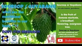 Guyabano or Soursop As a Natural Dietary Health Supplement