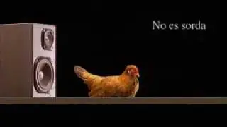 Spot Fotoprix - Gallinas