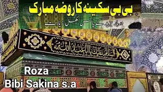 🇸🇾 Sham Roza Bibi Sakina S.A | Bibi Sakina Ki Shahadat | Sham Ki Galiyan..! Syria #bibisakina