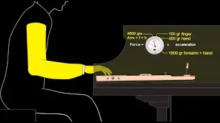 The Chopin Method:  Piano lesson 5. The finger and the key.