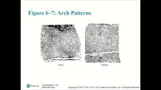 Forensic Science (College) - Fingerprints (Chapter 6)