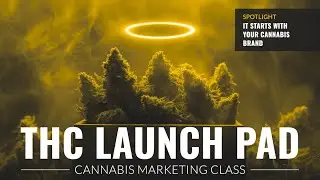 THC Launchpad Bonus: Build Your Brand Out First
