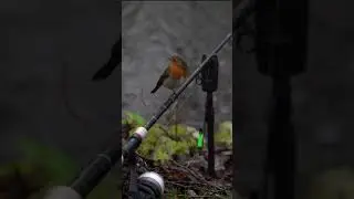 Good luck charm?! 🎣🍀