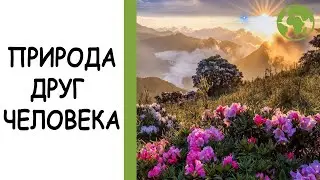 Природа — друг человека