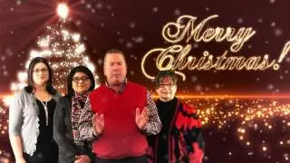 Vanneste Group Christmas Green screen