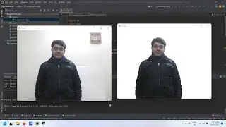 Live image background remover | Python programming