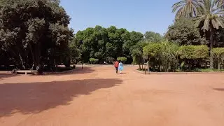 Moroccan park. Lovely park in Marrakech, Morocco. - 4K