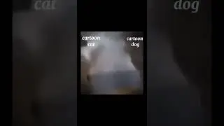 Pov: cartoon cat meets cartoon dog || 
