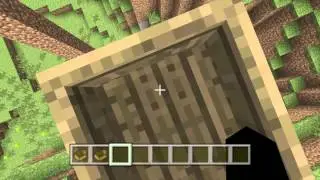 Minecraft console glitch