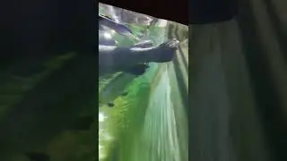 Underwater