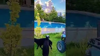 #tiktok #snapchat #bmw #instagram #türkiye #dubai #istanbul #ingiltere #diyarbakır #adana #dubai