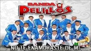 Banda Pelillos / No Te Enamoraste De Mi / ALBUM
