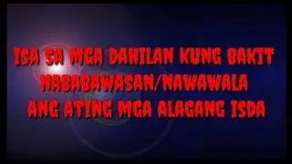 Mga dapat nating bantayan upang maiwasan ang pagkawala ng ating mga alagang isda